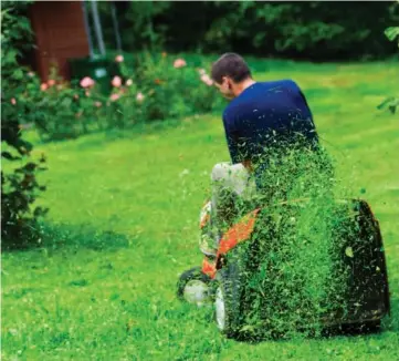  ??  ?? Frequently mowed lawns benefit from grass clippings, as they hold valuable nutrients.Allowing the clippings to stay on the lawn can help it become and remain healthy and beautiful.
