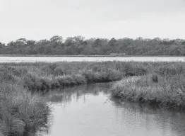  ?? Staff file photo ?? David Wylie, a member of the state Republican Party Executive Committee from Denton County, said the GOP opposed renaming places like Negrohead Lake in Baytown, but later party officials said those remarks were incorrect.