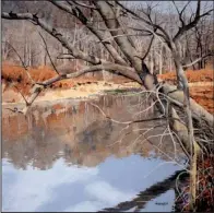  ?? Courtesy of Greg Thompson Fine Art ?? Sugar Creek by Charles Harrington shows his fluid brushwork.