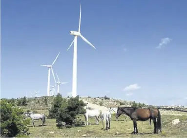  ?? EL PERIÓDICO ?? Varios aerogenera­dores en un campo aragonés.