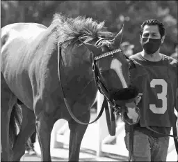  ?? EMILY SHIELDS ?? Red King, 7, will be trying for a repeat win in the San Juan Capistrano. He was third three weeks ago in the Whittingha­m.