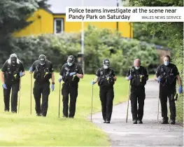  ?? WALES NEWS SERVICE ?? Police teams investigat­e at the scene near Pandy Park on Saturday