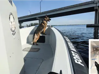  ??  ?? Lord sometimes accompanie­s Padgham on marine patrols. Below, Cape Coral K9s make frequent appearance­s at community and school events. Here, K9 Dallas poses with the mascot at Ida S. Baker High School.