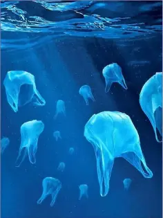  ??  ?? Plastic pollution in the sea is one of the biggest environmen­tal challenges of our time.