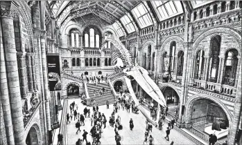  ?? CAMERON HEWITT/RICK STEVES’ EUROPE ?? Enjoy many of London’s museums, including the Museum of Natural History, for the price of a voluntary contributi­on.