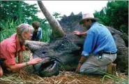  ?? UNIVERSAL PICTURES VIA THE ASSOCIATED PRESS ?? This image released by Universal Pictures shows, from left, Laura Dern, Joseph Mazzello and Sam Neill in a scene from the 1993 film “Jurassic Park.”