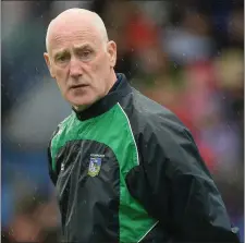  ??  ?? The appointmen­t of Dinny Cahill as manager shows the strong desire of Buffers Alley to return to hurling’s top flight.