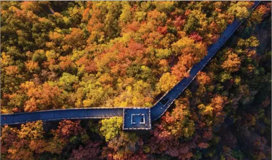  ?? SONG YU / FOR CHINA DAILY ?? An autumnal view of the Mutianyu section of the Great Wall in Huairou, Beijing.