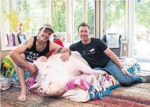  ?? HANNAH YOON THE CANADIAN PRESS ?? Steve Jenkins and Derek Walter have written books about raising their pet pig Esther.