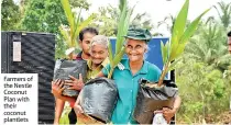  ??  ?? Farmers of the Nestle Coconut Plan with their coconut plantlets