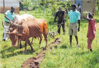  ?? ARCHIVFOTO: GERLINDE BRÜNZ ?? Nur ein Beispiel: Durch die Arbeit von Tukolere Wamu können Landwirte in Uganda gemeinsam mit Schülern besser wirtschaft­en.