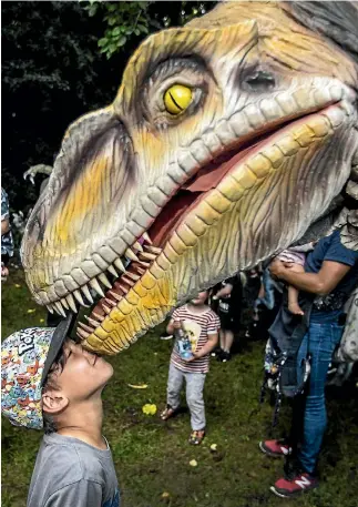  ?? ANDY JACKSON/STUFF ?? Neihana Allison, 7, gets up close with Rexy the T-Rex.