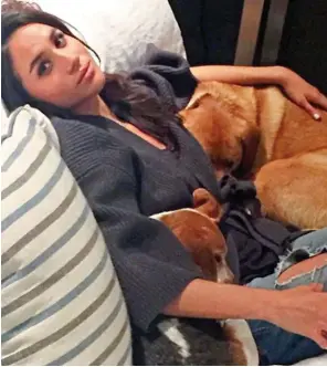  ??  ?? New home? Meghan Markle with her dogs, named Guy and Bogart