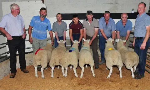  ??  ?? Winning Cheviot ewe lambs (above) exhibited by John Driver, Charles Fenton and Laurence Murphy along with handlers and officials and (below) winning ewe lambs and their exhibitors and officials at Tullow Mart.