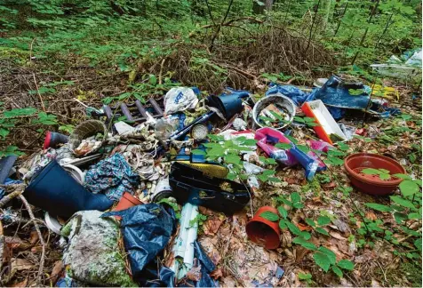  ?? Symbolfoto: Patrick Pleul, dpa ?? Immer wieder kommt es vor, dass Hausmüll oder Bauschutt einfach in der Natur entsorgt wird.