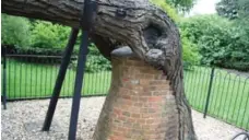  ??  ?? Bricks fill the cavity of an ancient pagoda tree in London’s Kew Gardens.