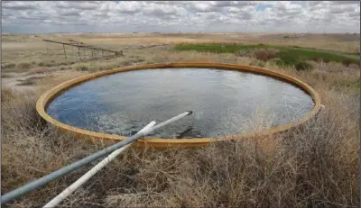  ??  ?? A natural spring fed by the Ogallala Aquifer fills a stock tank that provides water for wildlife May 18 at the Muleshoe National Wildlife Refuge.