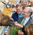  ??  ?? Freuten sich über das gelungene Tier schutzproj­ekt: Präsident Thomas Schrö der und Vereinsvor­sitzender Heinz Pau la.