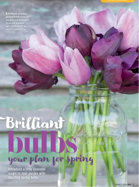  ??  ?? A bunch of tulips picked fresh from the garden and arranged in an old kitchen jar – what could be more beautiful?