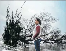  ?? ?? Clima. Cristina Pacheco observa un árbol que desaparece en las olas.