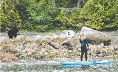  ?? — JEREMY KORESKI ?? You never know what you’ll see when paddleboar­ding in Clayoquot Sound near Tofino.