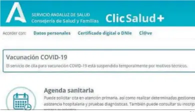  ?? D. A. ?? Mensaje publicado ayer en la web de ClicSalud+ alegando motivos técnicos para suspender la petición de citas.