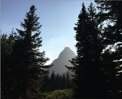  ?? Associated Press photos ?? A mountain peak is seen behind tall trees in this photo from Glacier National Park in Montana. The National Park Service says that the park’s glaciers are melting fast and will have disappeare­d by the year 2030.