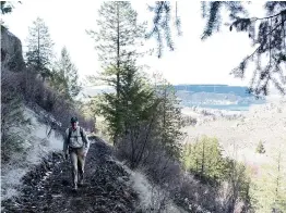  ?? ELI FRANCOVICH Spokesman-Review/TNS ?? Bob Strong hikes up the Old Wagon road in Northrup Canyon near Banks Lake.