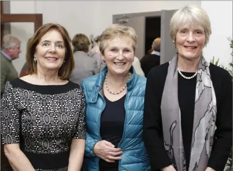  ??  ?? Louise Shanley, Susan Hayes and Diane Cahill enjoying their night out at the Eleanor Shanley concert at Charleslan­d Golf Club.