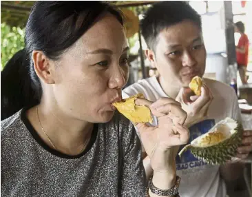  ??  ?? Trying local delicacies: China tourists Wei Chan Fang, 39 (left), and her husband Zhan Xiang, 38 (right), enjoying durian at the Bao Sheng Durian Farm in Balik Pulau, Penang