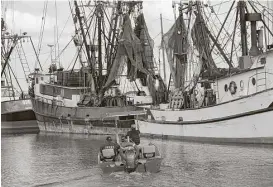  ?? Jerry Lara / San Antonio Express-News ?? As the shrimping season, which starts in mid-July, looms, shrimpers areheld up by a lack of seasonal visas and other requiremen­ts that are holding up foreign workers who usually work on the boats.