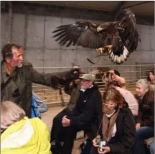  ??  ?? Sligo attraction­s such as Eagles Flying above should be promoted better on the Wild Atlantic Way website say councillor­s.