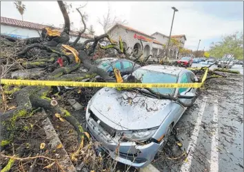  ?? Myung J. Chun Los Angeles Times ?? DAMAGED CARS sit underneath a fallen tree at the El Camino Shopping Center along Mulholland Drive on Sunday in Woodland Hills. The tree fell Saturday night, trapping some people inside their vehicles.