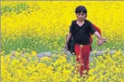  ?? REUTERS FILE ?? Mustard is one of India’s most important winter crops, which is sown between midOctober and lateNovemb­er.