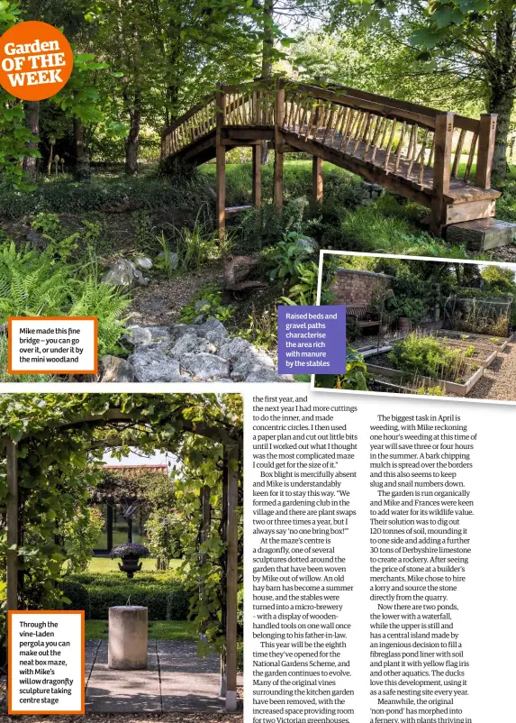  ??  ?? Mike made this fine bridge – you can go over it, or under it by the mini woodland Through the vine-laden pergola you can make out the neat box maze, with Mike’s willow dragonfly sculpture taking centre stage Raised beds and gravel paths characteri­se...