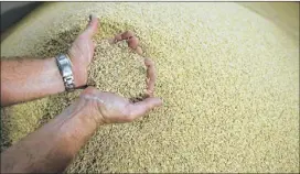  ?? Jay Janner / american-statesman 2009 ?? Rice farmer Ronald Gertson says cutting off water for a second consecutiv­e year will devastate an already reeling rice-growing industry.