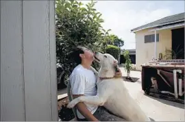  ?? Francine Orr Los Angeles Times ?? INGLEWOOD RESIDENT Miguel Delcid spends time with dog near a special apple tree. His dad planted it, he said, and he’ll take it with him when he moves.