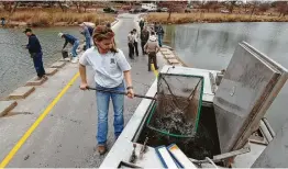  ??  ?? Beginning Nov. 30, Texas’ inland fisheries staff will stock more than 320,000 10to 12-inch rainbow trout into 170 ponds, city and county and state park ponds as well as some river tailraces as part of the state’s annual winter put-and-take trout stocking program. Photos by Texas Parks and Wildlife Department