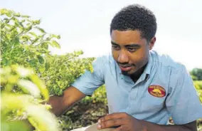  ??  ?? Matthew Jones on his farm