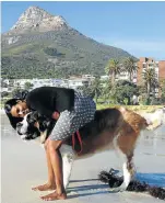  ??  ?? CAPE ESCAPE: Theodore on Camps Bay beach with his new owner, Nicolene Pillay