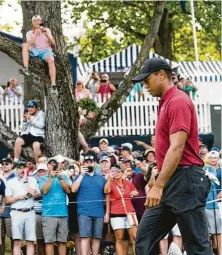  ?? Doug Mills / New York Times ?? With fans at the PGA Championsh­ip hanging on his every move, Tiger Woods displayed the form that makes him an easy choice for one of four captain’s picks for the U.S. team.