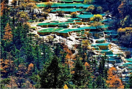  ??  ?? Una piscina colorida en la zona paisajísti­ca de Huanglong.