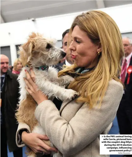  ?? Stefan Rousseau ?? > Is the PM’s animal-loving wife Carrie, pictured here with the couple’s dog Dilyn during the 2019 election campaign, influencin­g government policy?