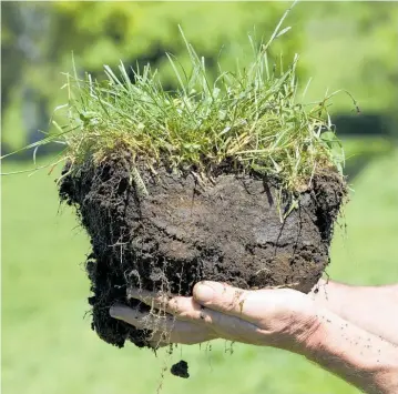  ?? Photo / NZME ?? Regenerati­ve agricultur­e and organics focus on the soil and the billions of living organisms that live in just one teaspoon of it. They are about feeding the soil biome rather than simplistic chemical inputs.