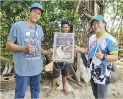  ?? ?? An eastern grass owl is released back to the wild by the Capiz Provincial Environmen­t and Natural Resources Office.