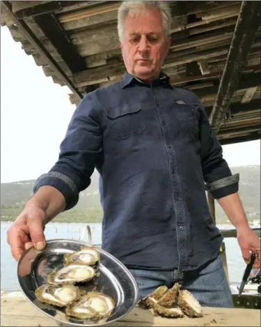  ?? ELDAR EMRIC — THE ASSOCIATED PRESS ?? Branko Radic, an oyster farmer displays opened shells in Mali Ston, southern Croatia.