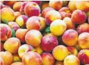  ?? FACEBOOK PHOTO ?? Peaches from The Peach Truck are grown at Pearson Farm in Fort Valley, Ga. They are sold in 3-pound bags for $8 and 25-pound half-bushel boxes for $39.