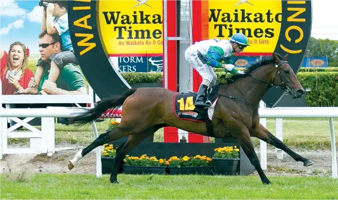  ?? BRUCE MERCER/ STUFF ?? Sports Illustrate­d, owned by Garry Chittick, winning at Te Rapa in 2014. Chittick says he regrets giving $5000 to the NZ First Foundation.