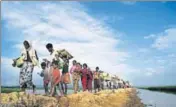  ?? AFP FILE ?? Rohingya Muslim refugees walk towards the Balukhali refugee camp after crossing the border with Bangladesh