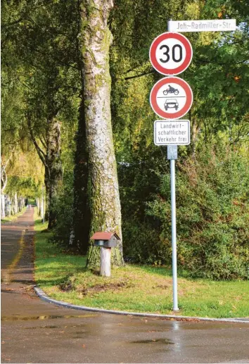  ?? Foto: Annegret Döring ?? Zu schnell gefahren werde in der Birkenalle­e in Thannhause­n am Alpenblick. Zudem kürzten viele motorisier­te Verkehrste­ilneh‰ mer an dieser Stelle den Weg nach Augsburg ab. Der Bauausschu­ss der Stadt hat nun darüber diskutiert, welche Maßnahmen man dagegen ergreifen will.